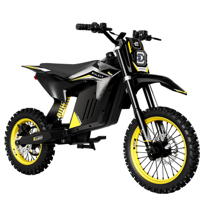 Ecoleap Electric Dirt Bike Conqueror X