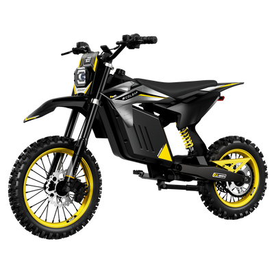 Ecoleap Electric Dirt Bike Conqueror X
