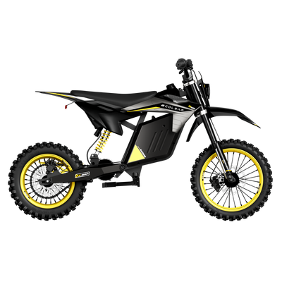 Ecoleap Electric Dirt Bike Conqueror X
