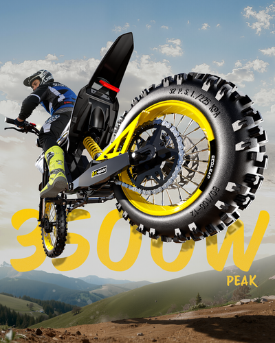 Ecoleap Electric Dirt Bike Conqueror X