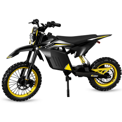 Ecoleap Electric Dirt Bike Conqueror X