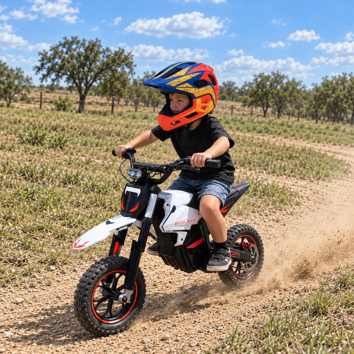 Ecoleap K2 Kids Electric Dirt Bike