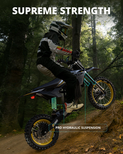 Ecoleap Electric Dirt Bike Conqueror X