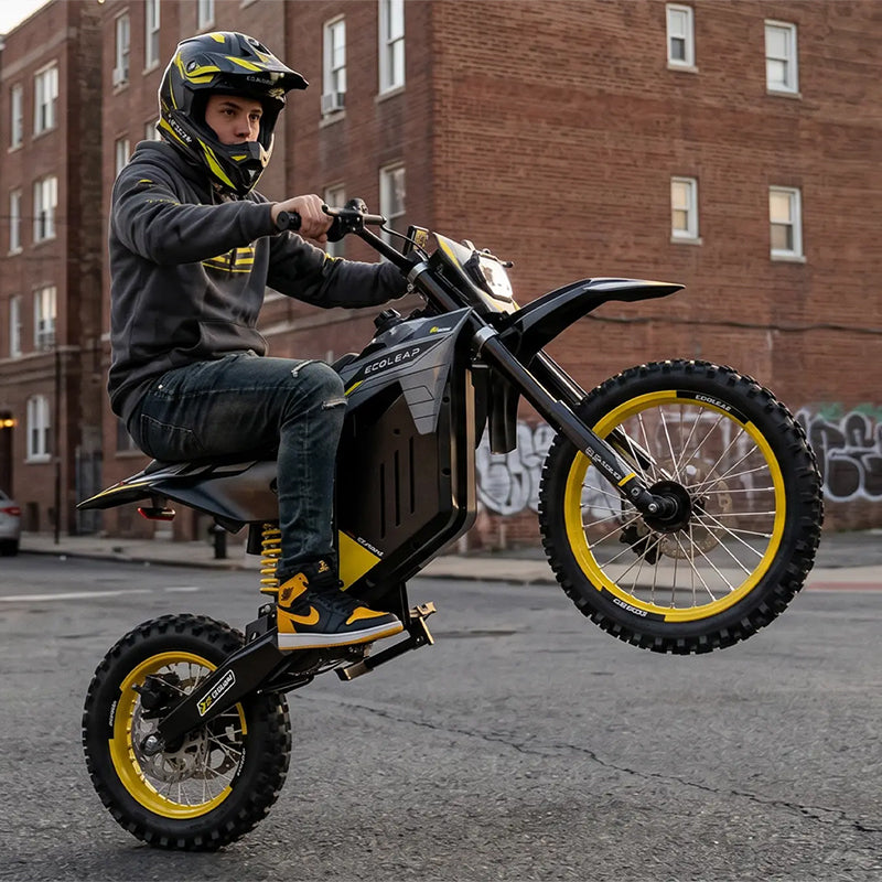 Ecoleap Electric Dirt Bike Conqueror X