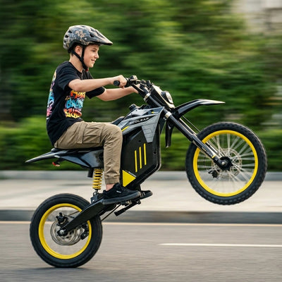 Ecoleap Electric Dirt Bike Conqueror X