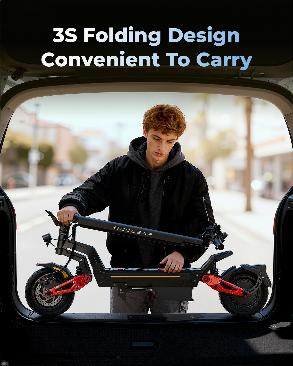 Ecoleap E-Scooter L7 Master