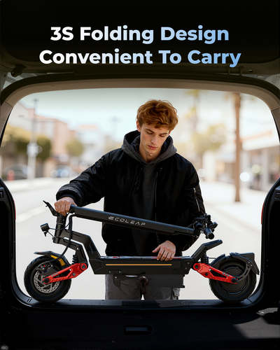 Ecoleap E-Scooter L7 Master