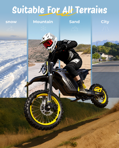 Ecoleap Electric Dirt Bike Conqueror X