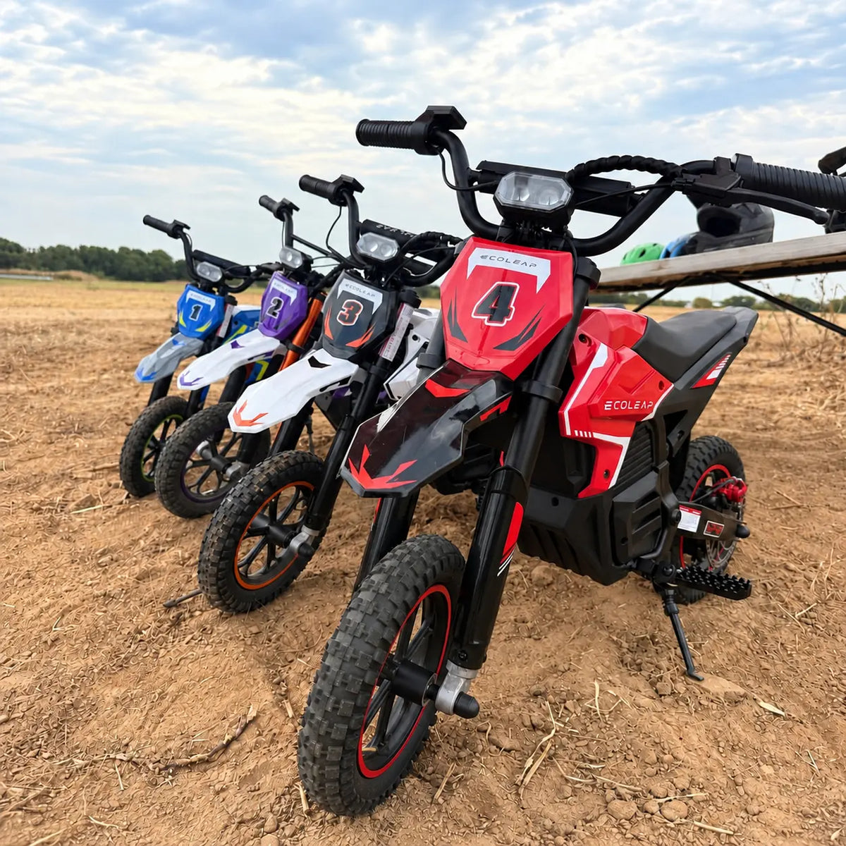 Ecoleap K2 Kids Electric Dirt Bike