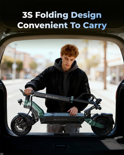 Ecoleap E-Scooter L7
